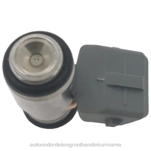 6H4N705 iwp099 brandstofinjector voor renault - groothandel auto onderdelen