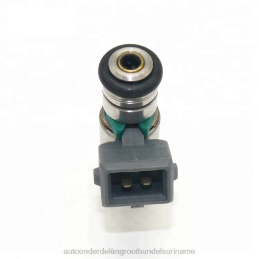 6H4N706 iwp143 brandstofinjector voor renault - auto onderdelen winkel